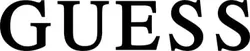 Guess logo.jpg