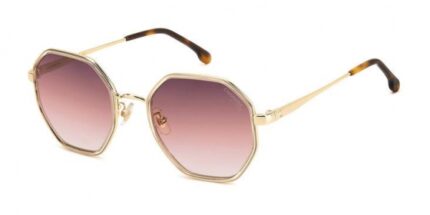Carrera 3029 s ham uq