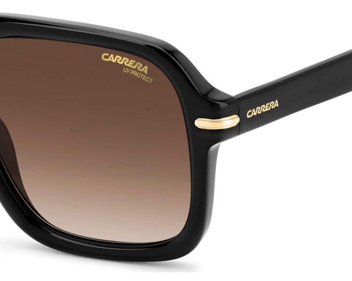 Carrera carrera317s 807ha 55 p07