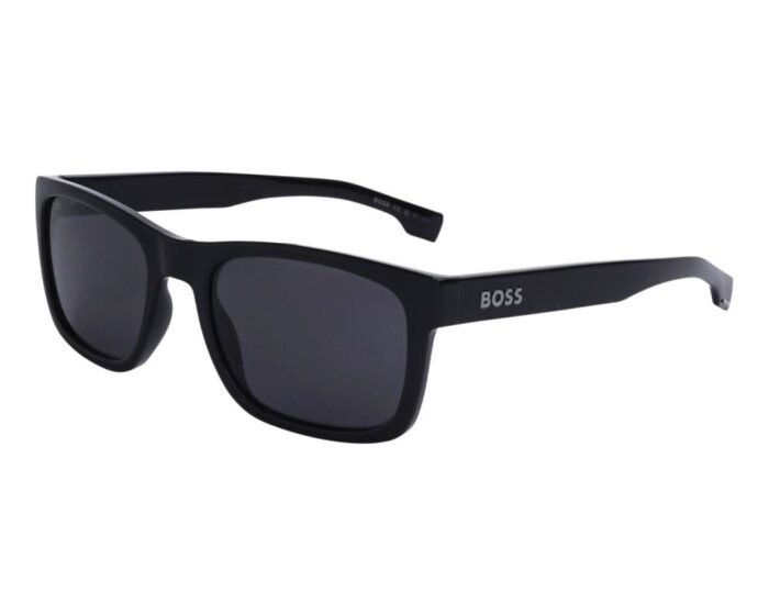 Hugo boss boss1569s 807 55 1