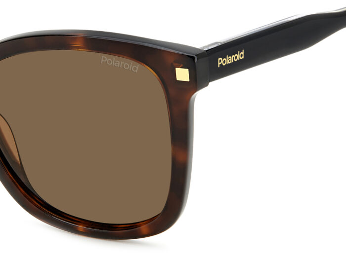 Img art pld 4151 s x 086 sp 3