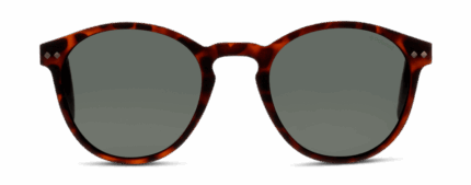 Original png 762753953346 front 01 polaroid pld 1029 s eyewear matt hvna