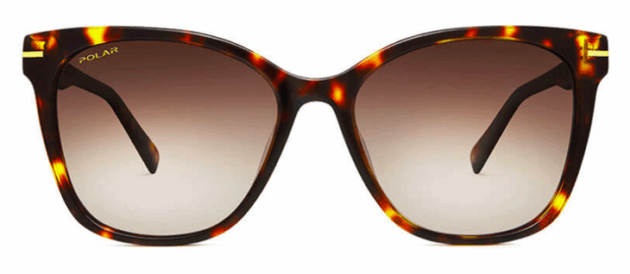 Polar gold 105 428