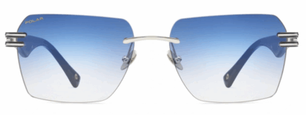 Polar gold 6000 48q