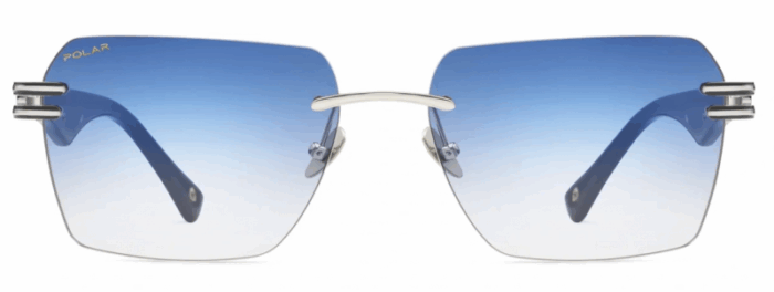 Polar gold 6000 48q