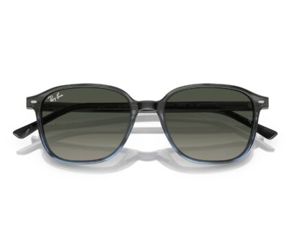 Ray ban leonard rb2193 138171 53 p21 shad cfr