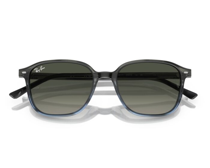 Ray ban leonard rb2193 138171 53 p21 shad cfr