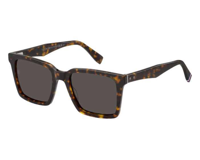 Tommy hilfiger th2067s 086ir 53 p00