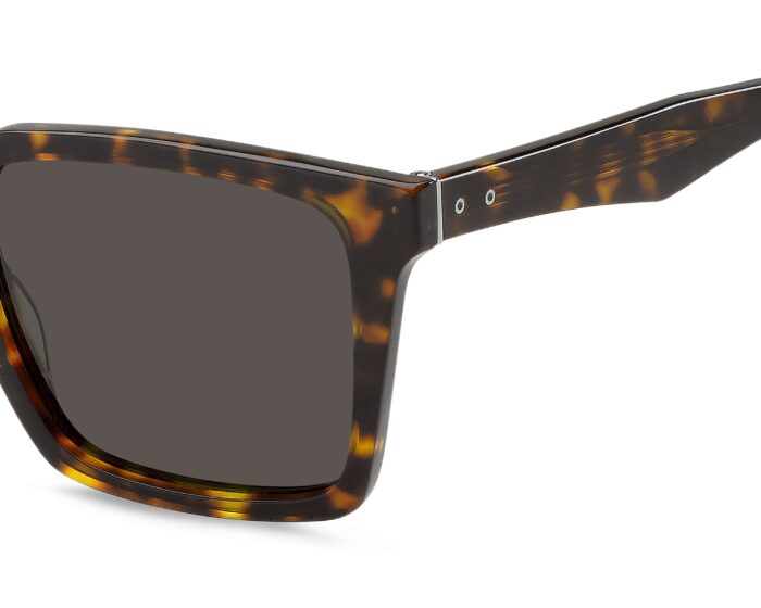 Tommy hilfiger th2067s 086ir 53 p07