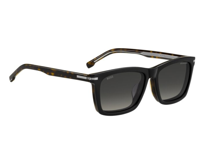 Hugo boss boss1726gcs wr7lb 55 9