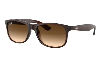 Ray ban rb4202 607313