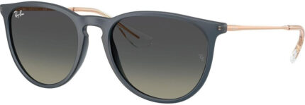 Ray ban erika classic rb4171 681311
