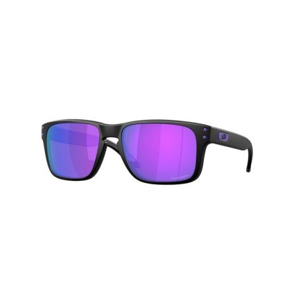 Oakley holbrook s oo9509 950906